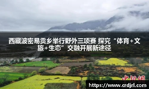 足球比分